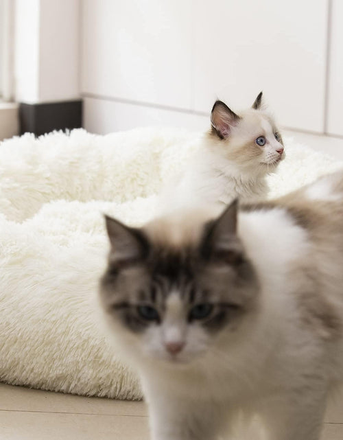 Load image into Gallery viewer, anti Anxiety round Fluffy Plush Faux Fur Warm Washable Dog Bed &amp; Cat Bed, Original Bed for Small Medium Large Pets,Used to Relieve Joints and Improve Sleep（20"/24"/27''） (27", White)
